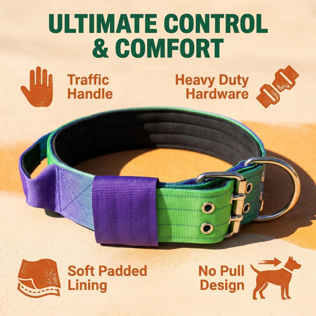 Set Kalung dan Tali Anjing Hea - Heavy Equipment Cat ulasan dan harga